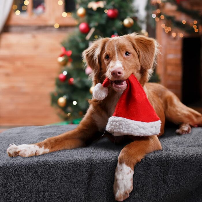 М'який флісовий килимок для собак та котів Nobleza, 160 x 120 см, сірий (XL)