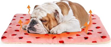 М'який лежак для собак та котів середнього розміру, 80x60 см, знімний, миючий, сірий/з полуничками