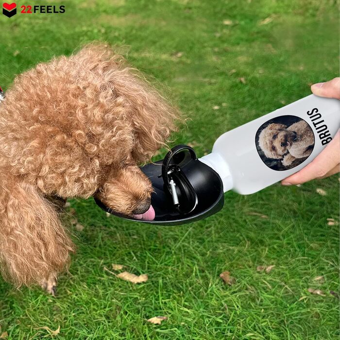 Персоналізована пляшка для води для собак 600 мл з фотографією та ім'ям. Зручна, виточна, з карабіном. Ідеально для прогулянок, подорожей та активного відпочинку.