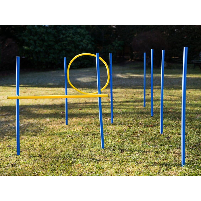 Набір для аджиліті для собак: слаломні стійки, бар'єри та кільце. Тренування собаки вдома, собачий спорт