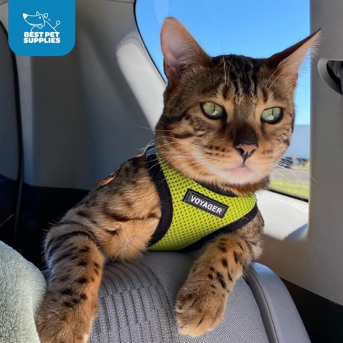 Шлея для собак Best Pet Supplies Voyager Step-In Air, нейлонова, всепогодна, для малих і середніх порід, лаймово-зелена, XXS