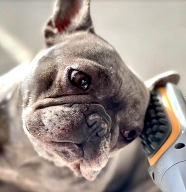 PAW WAVE Buzz терапевтична щітка з вібромасажем для собак і котів, для зняття напруги та покращення кровообігу, масажер для м'язів домашніх тварин