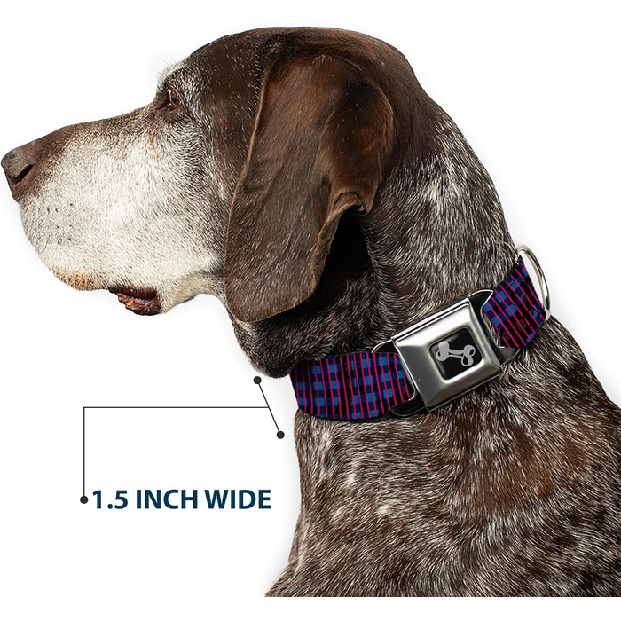 Комір для собак Buckle-Down Buffalo Plaid, абстрактний біло-чорно-бірюзовий, із кісточкою, малий розмір 22,9–38,1 см