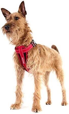 Автомобільна шлея для собак EzyDog Chest Plate, з ременем безпеки, анатомічна та м’яка, світловідбивна, для малих, середніх і великих собак, розмір M, фіолетова