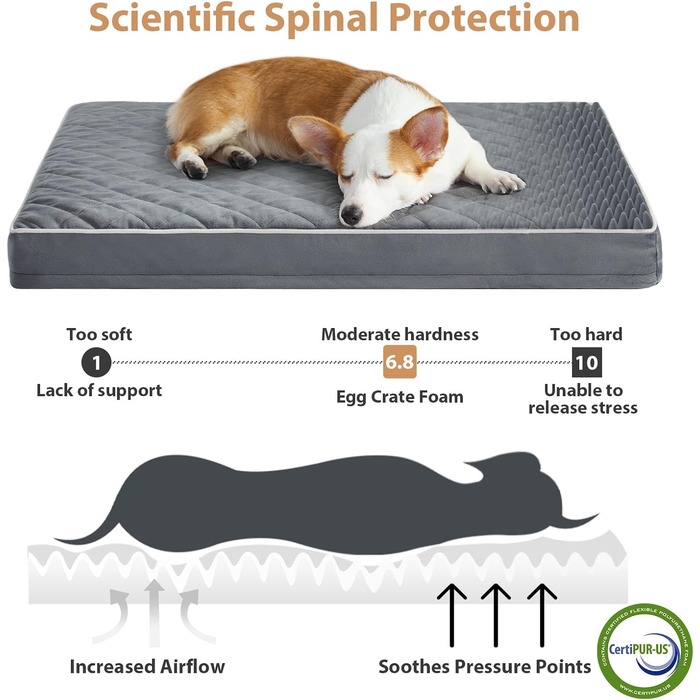 Ортопедичні лежанки для собак великих порід WNPETHOME, великі водонепроникні лежанки з знімним, пральним чохлом та антиковзким дном, килимок з пінополіуретану для домашніх тварин, сірий, 155 x 110 x 10 см