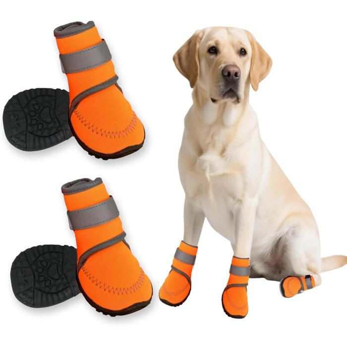 Чоботи для собак: захист лап, антиковзка підошва, для активного відпочинку на природі