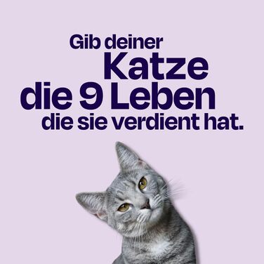 Супер-преміум корм для котів The Better Cat з лососем, беззерновий, з пробіотиками, 1 кг