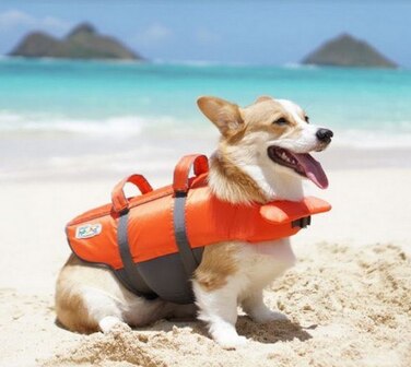 Жилет Outward Hound, помаранчевий, розмір M