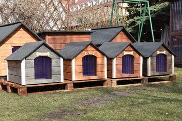 Буда для собак Drewmart, дерево, зовнішні розміри: 64 x 53 x 56 см