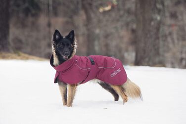 Дощовик для собак Rukka Pets Stormy Coat, бордовий, 65 см