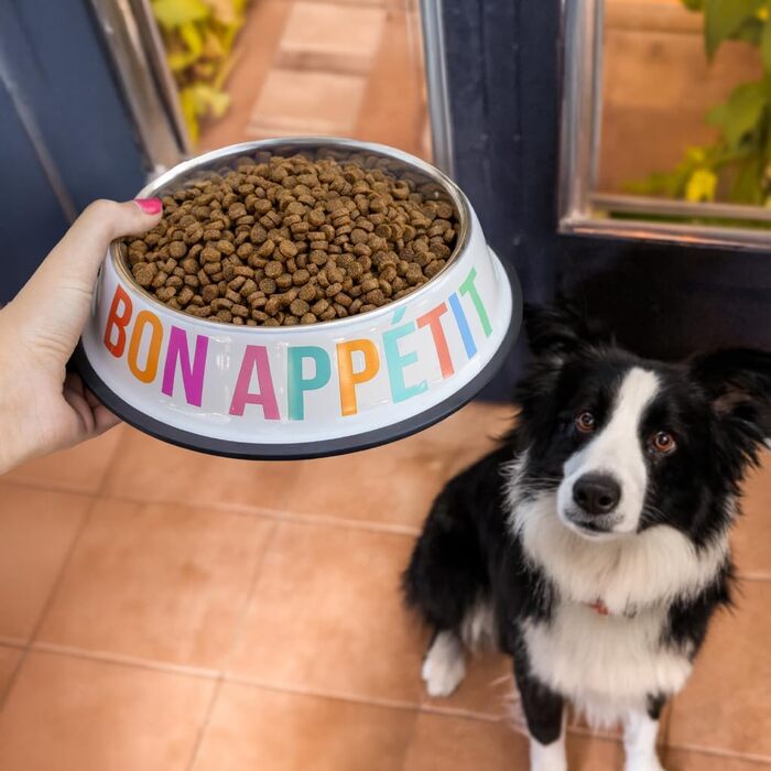 Миски для собак Fisura Dog Bar з нержавіючої сталі, рожеві та червоні, 500 мл + 1000 мл, набір для собак
