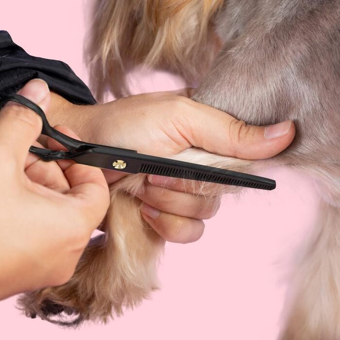 Набір ножиць для собак 7 дюймів, професійний 5-в-1 з нержавіючої сталі, включаючи ножиці для фінальної обробки, вигнуті та прямі ножиці, гребінець для грумінгу, серветка для чищення, кейс для зберігання, регулювальний гвинт, для собак та котів, чорний