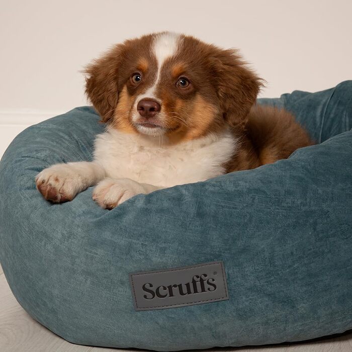 Нашийник для собак Scruffs Oslo Ringbett, колір Lake Teal, розмір M