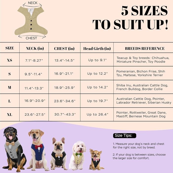 Smoking для собак: стильний костюм для собак середніх та великих порід XL. Костюм для свят, вечірок, косплею, Хелловіну, весілля. Бежевий smoking з рожевою краваткою.