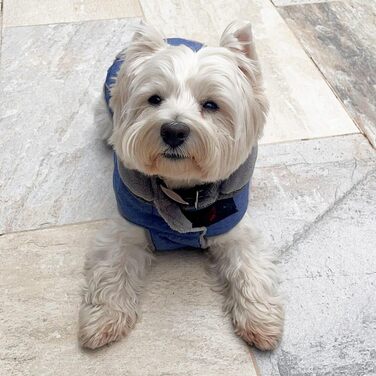 Benetton Hundebett для середніх собак, сірий, 90 см, ергономічне, з поліестеру, придатне для прання