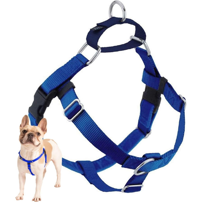 Шлея для собак 2 Hounds Design Freiheit Wags Whiskers, проти тягнення, 5/8 дюйма, середня, королівський синій