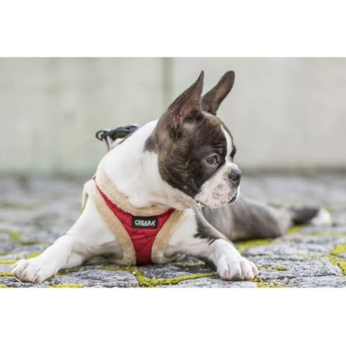 М'який нашийник для собак CHIARA MIA, розмір XL, червоний, водонепроникний, з клямками, світловідбиваючі смуги