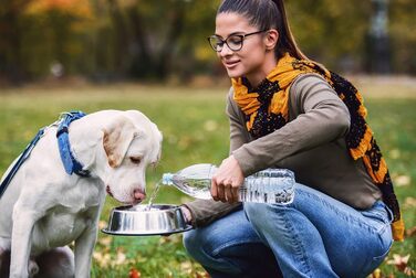 Набори мисок для котів VORX з нержавіючої сталі з антиковзким гумовим дном, 15 см, 3 шт.
