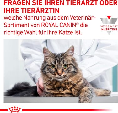 Ветеринарний корм для котів Gastrointestinal з рисом, сухий корм для лікувальної дієти, 2 кг
