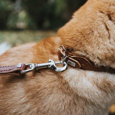 Шкіряний нашийник для собак HUNTER Round & Soft, м'яка теляча шкіра з нейлоновим підкладом, коричневий, розмір 40