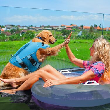 Жилет для собак AENKU: плаваючий, з ручкою, для чихуахуа, такси, бульдога, лабрадора (блакитний, XS)