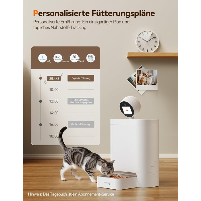 Автоматичний кормушка для котів FEELNEEDY з додатком