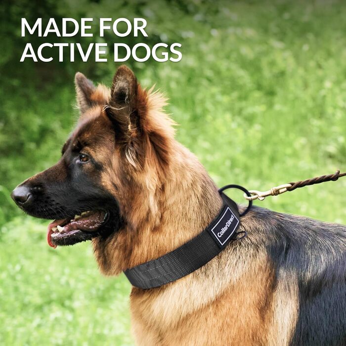 Міцний нашийник для собак великих та середніх порід – регульований, двошаровий нейлон, металева застібка, стійкий до розривів, ідеальний для активних собак (Чорний, Великий (38-58 см))