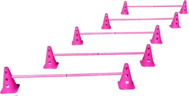 Набір фігур-кармашків рожевих (5 шт.) для координації, аджиліті, собачий/кінний спорт, аксесуари, конуси, пілони, фігури для тренувань