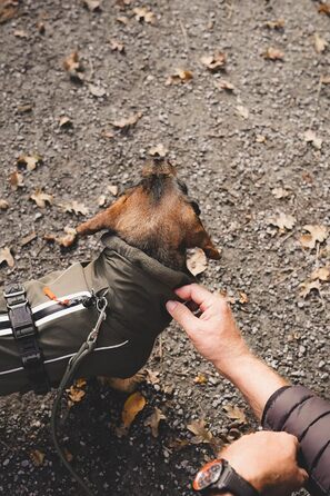Теплий водонепроникний жилет для такси HUNTER NORDBY оливкового кольору, розмір 33, для маленьких собак з довгим тілом