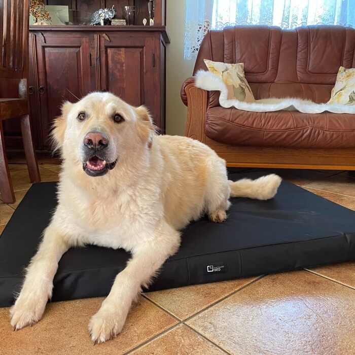 Килимок для собак Tina Grosse - лежанка для собак середнього та малого розміру. Зносостійкий килимок-лежанка з тканини Kodura, водонепроникний, м'який, довговічний. (XXL, 120x90x8 см, Чорний)