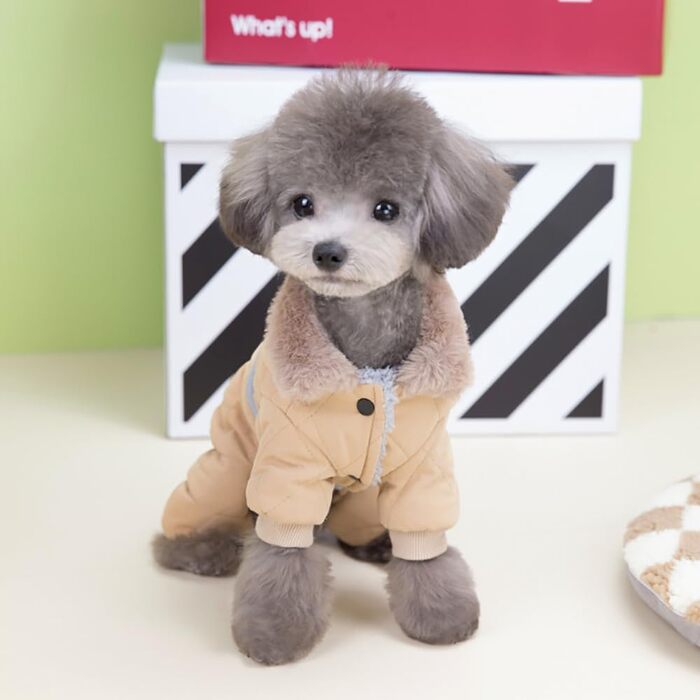 Теплий зимовий костюм для собак Izefia: куртка з бавовни, захист від вітру та снігу, для маленьких та середніх собак, XL (довжина спини 37 см), зелений/хакі