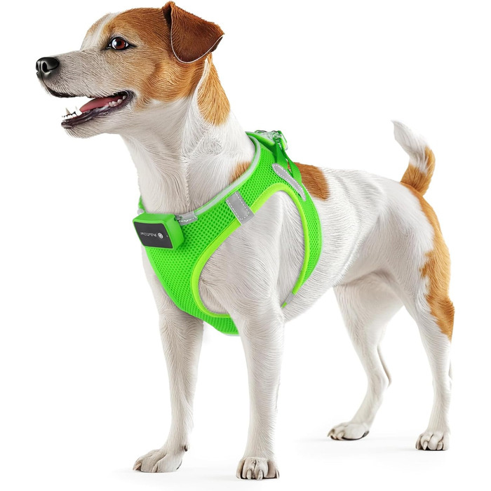 Світловідбиваючий нашийник для собак PcEoTllar з LED підсвічуванням (3 режими), зелений, для маленьких та середніх собак