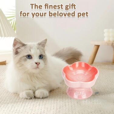 Антишвидкісний набір для собак, миска для їжі для котів та маленьких собак, керамічна миска (Morgenblüte) (Sanfte Liebe)