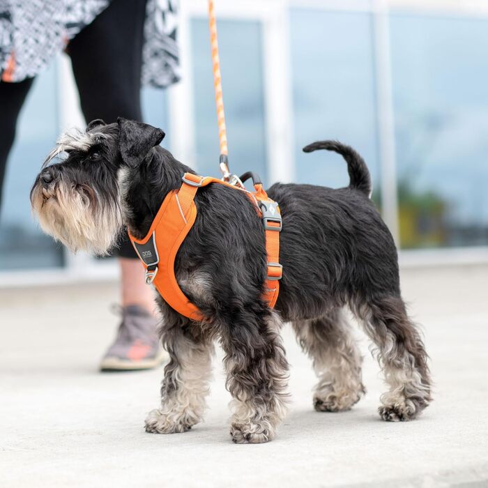 Шлея для собак DOG Copenhagen Comfort Walk Pro, мисливський зелений, розмір L