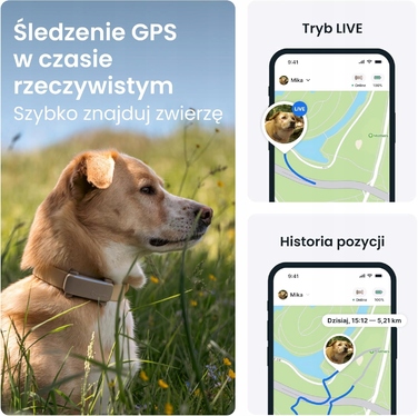 GPS-трекер для собак 2025: відстеження в реальному часі та моніторинг здоров'я