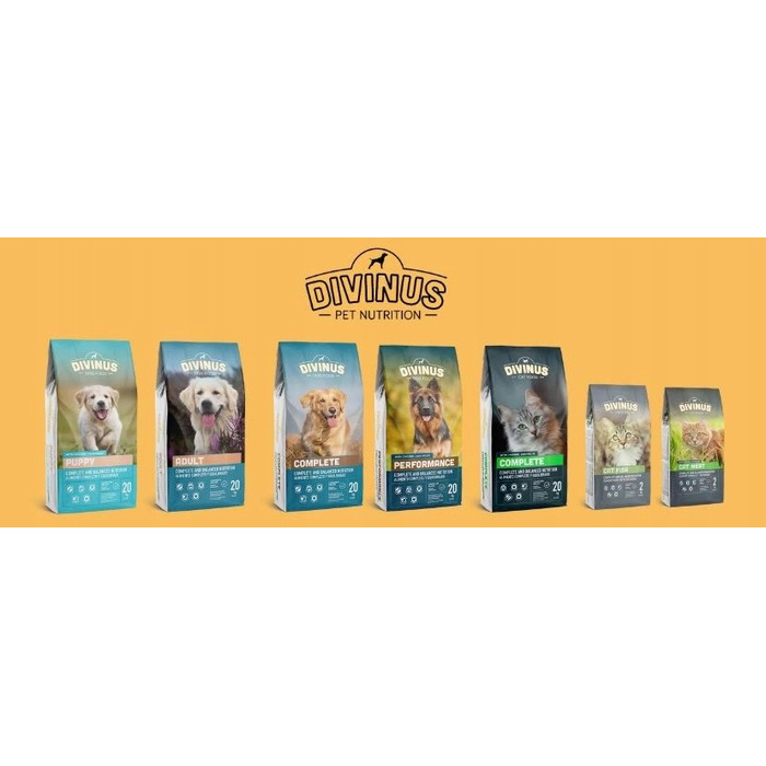 Повний сухий корм для дорослих собак Divinus Dog з вітамінами, 20 кг