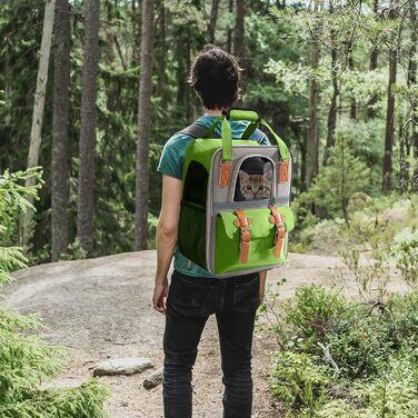 PETCUTE Рюкзак для собак і котів, дихаючий, для маленьких тварин, з відбиваючими смугами, складаний, знімний килимок, страхувальний ремінь, для прогулянок (зелений)