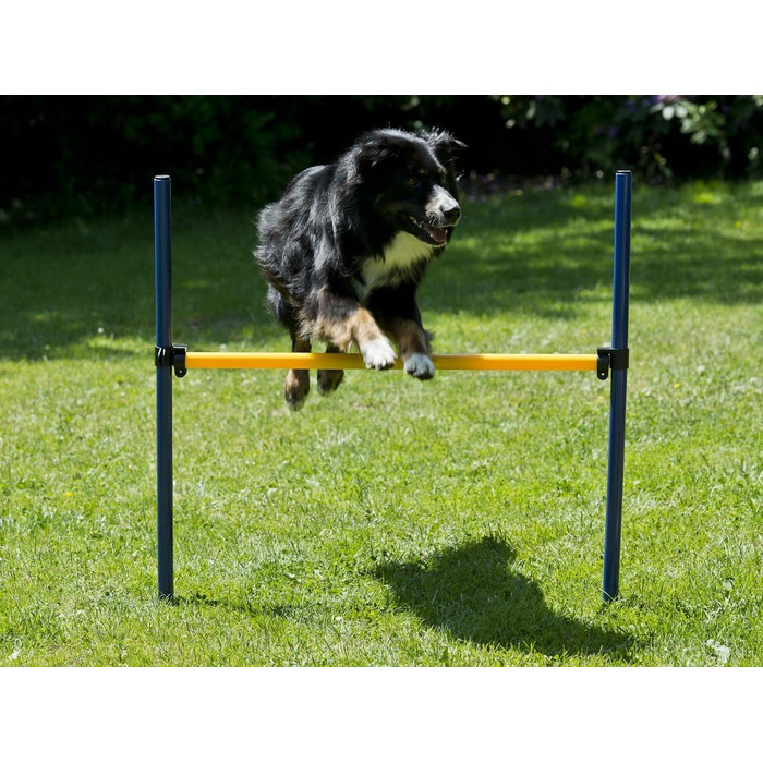 Набір для дресирування собак, Агіліті, Стартовий набір: стійки та тунель. Набір для агіліті, дресирування собак