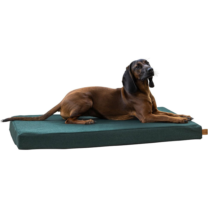 Матрац для собак Kerbl Oliver з піною з пам'яті, для собак з проблемами суглобів, ортопедичний, знімний чохол, Made in Italy, коричневий, 80x50x8 см