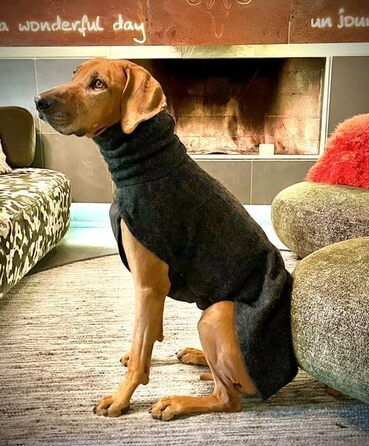 Теплий зимовий одяг для собак EDEL&SCHNELL: вовняна куртка з довгим коміром та світловідбиваючими елементами (55-60 см)