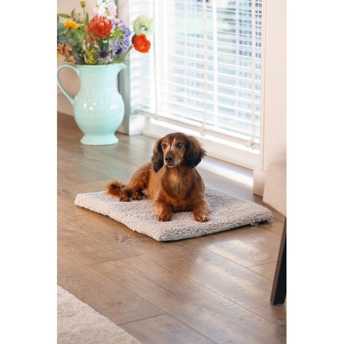 Крісло-гніздо для собак Beeztees Ito, ортопедичне, сірого кольору, 62x44x4 см