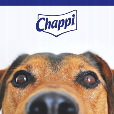 Сухий корм для собак Chappi з птицею та овочами, 13,5 кг
