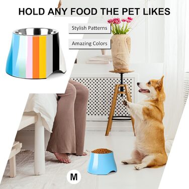 Миска для собак Petvillage, конусоподібна, неслизька, з нержавіючою сталею, піднята миска для середніх собак, спанієлів з довгими вухами, велика місткість, розмір L, 3 чашки, (Medium(2 чашки), аква блакитний)