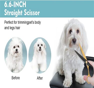 Професійний набір ножиць для собак 6 в 1: 6,6' - ідеально для грумінгу собак, котів та інших тварин. В комплекті: прямі, зубчасті та вигнуті ножиці (чорний + жовтий)