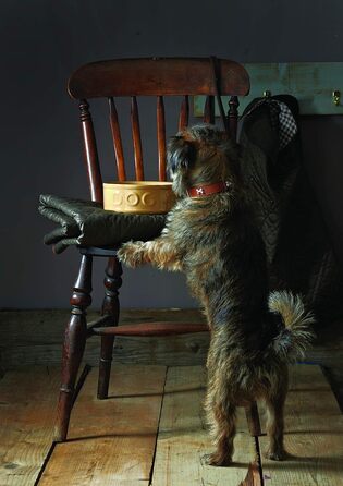 Миска для собак Mason Cash з порцеляни, з ручкою та синім написом, 15 см