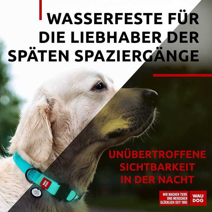 Водонепроникний нашийник для собак WAUDOG: великі, середні та малі породи, регульований, металевий замок, 31-49 см, ширина 25 мм, світловідбиваючий