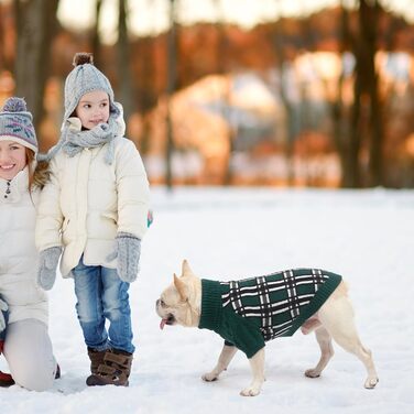 Світер для собак SCENEREAL з візерунком, теплий в'язаний светр з м'яким коміром-горловиною для собак маленьких, середніх та великих порід, цуценят та котів, для осені та зими, на холодну погоду, зелений, розмір Small-Medium