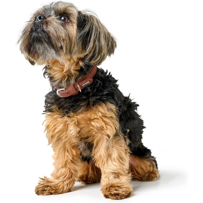 Нашийник для собак HUNTER SOHO MINI, колір: Cognac, шкіра, м'який, для маленьких собак та цуценят, Made in Germany, розмір 32