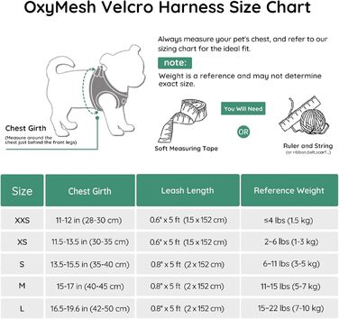 Шлейка для собак BELLA & PAL для маленьких собак з повідком, Step-in шлейка з Air Mesh, анти-тяга, світловідбиваюча, дихаюча, для цуценят, котяча шлейка, XS (30-35 см обхват грудей), Emerald