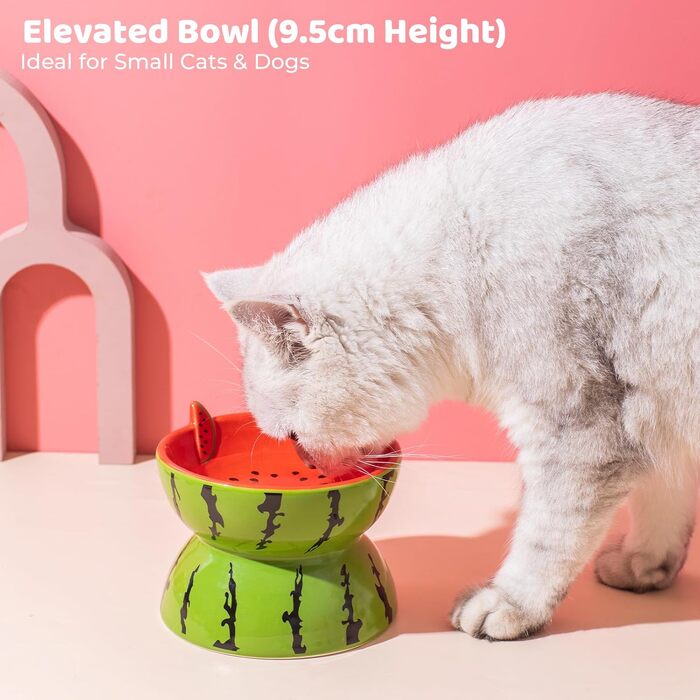 Котло propositions, піднята керамічна миска для котів, миска для їжі з підставкою, миска для котів, що запобігає блювоті, для кошенят, придатна для миття в посудомийній машині (рожевий) (кавун)